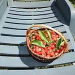 Charming With Pool In Zbandaj Holiday home Porec