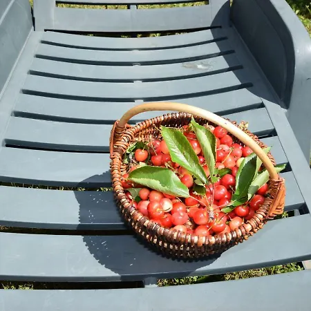 Charming With Pool In Zbandaj 펜션 포레치