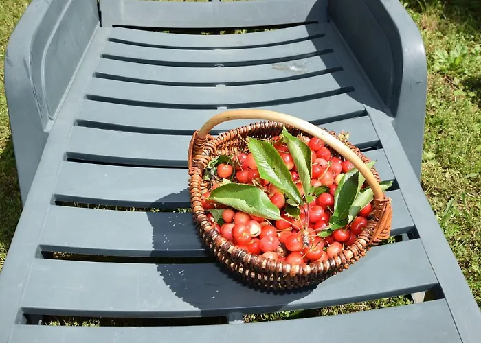 Charming With Pool In Zbandaj Casa vacanze Porec